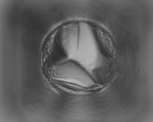 X0000073421223200608181112