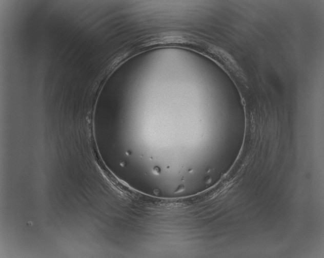 X0000073421225200608181112