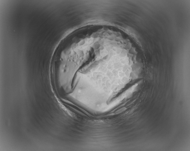 X0000073421231200608181112