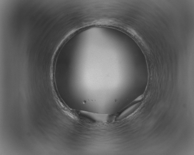 X0000073421232200608181113