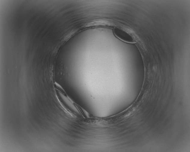 X0000073421233200608181113