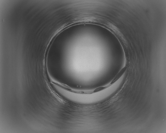 X0000073421234200608181113