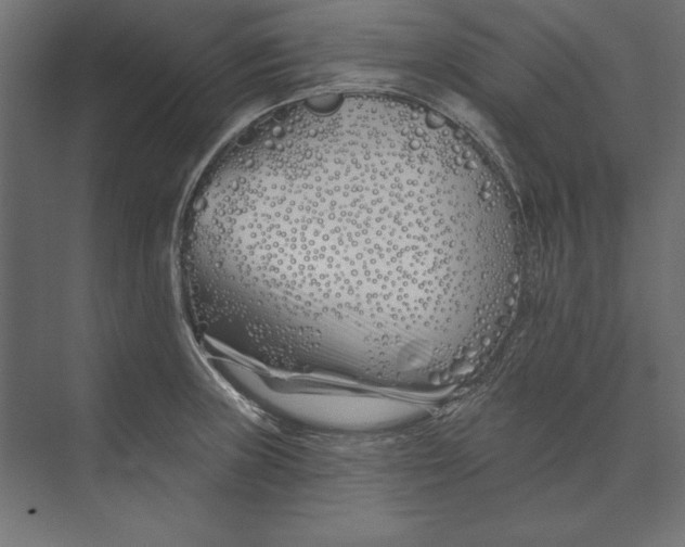 X0000073421235200608181113