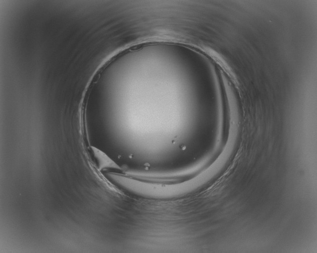 X0000073421238200608181113