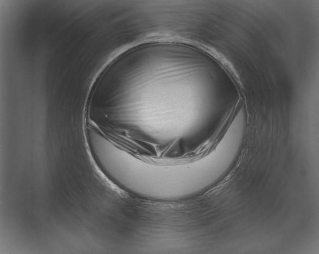 X0000073421239200608181113