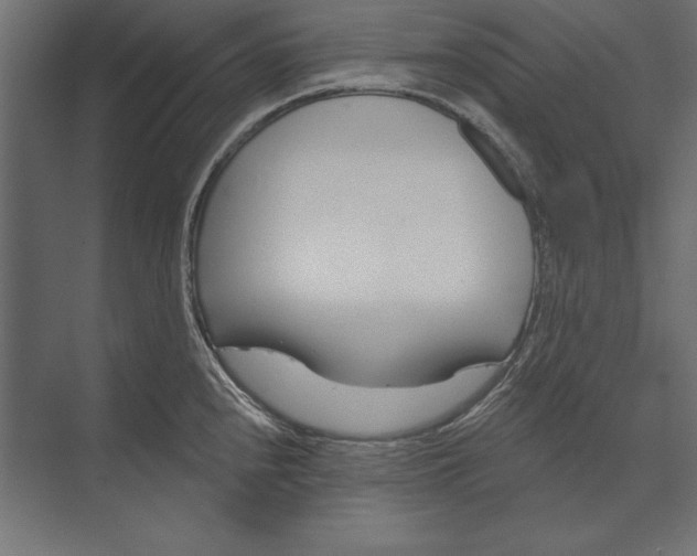 X0000073421240200608181113