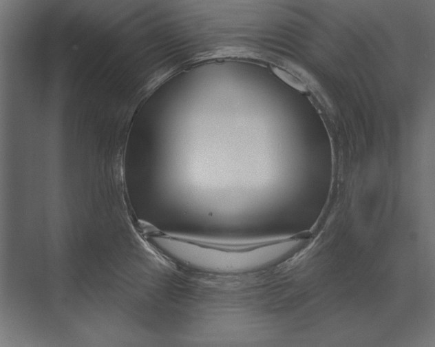 X0000073421241200608181113