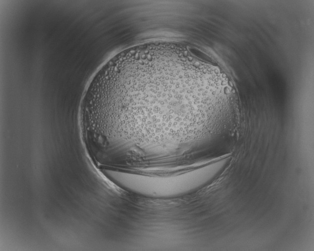 X0000073421243200608181113