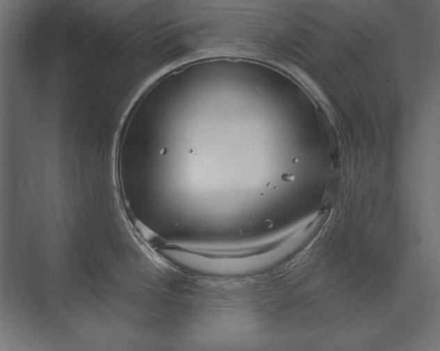 X0000073421246200608181113