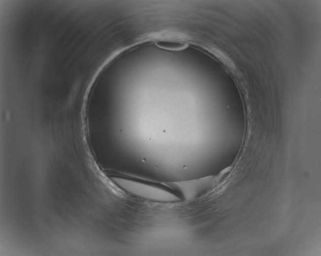 X0000073421248200608181113