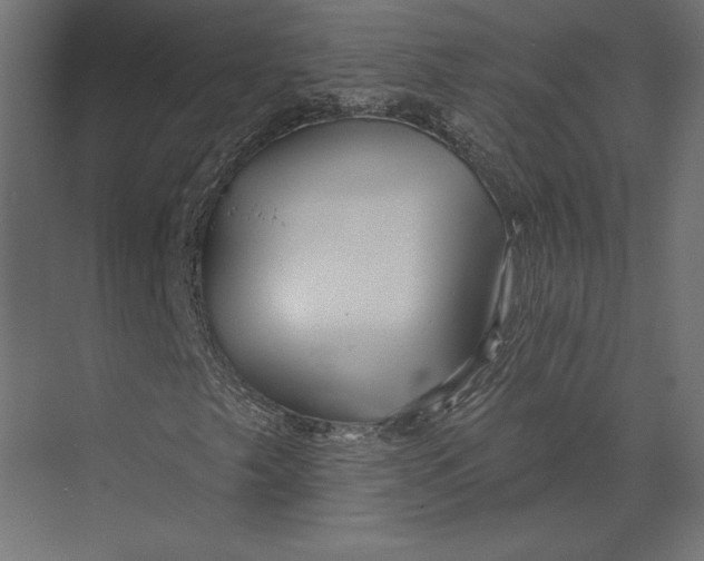 X0000073421249200608181112