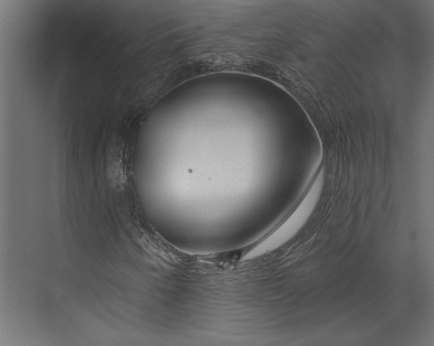 X0000073421250200608181112