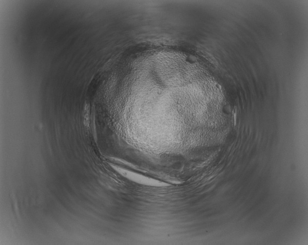 X0000073421251200608181112