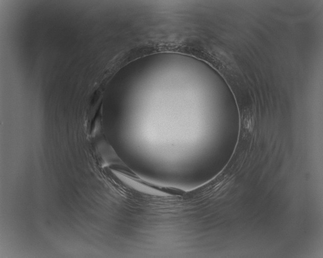 X0000073421252200608181112