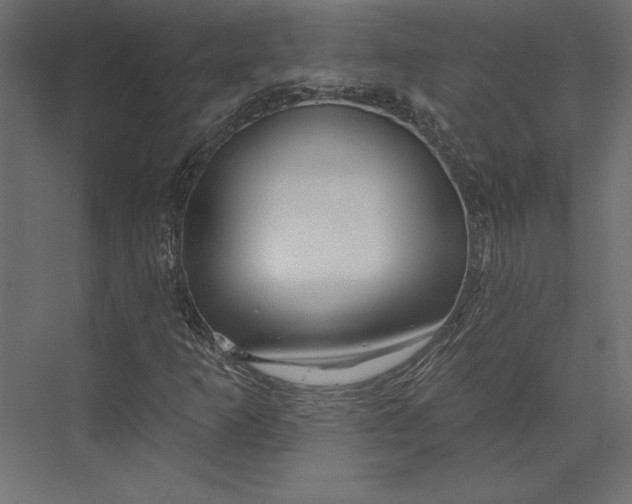 X0000073421253200608181112