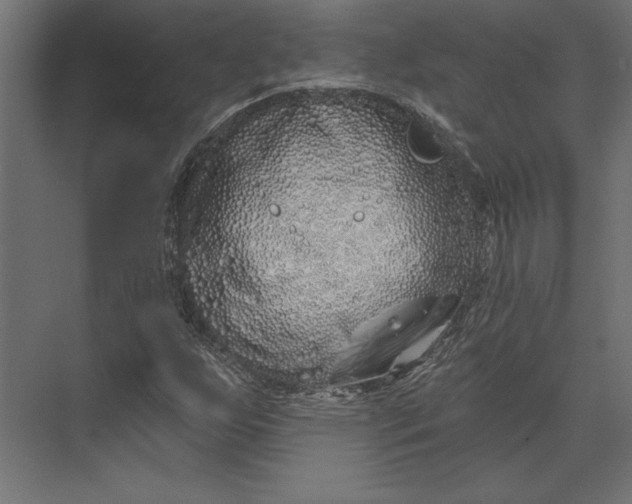 X0000073421255200608181112