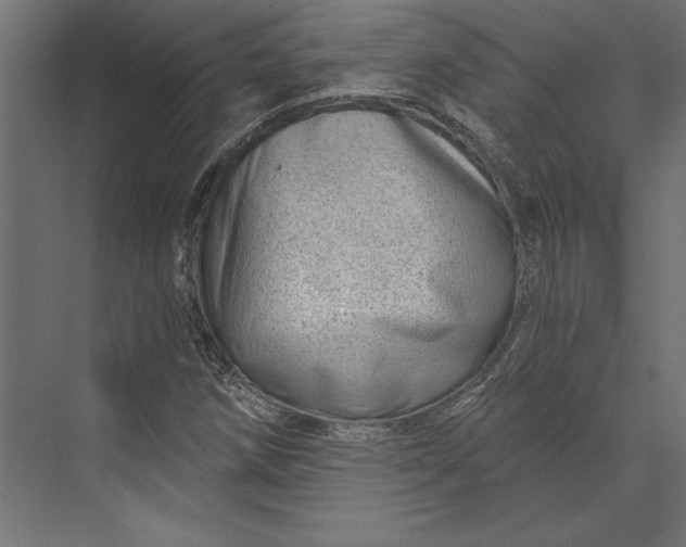 X0000073421258200608181112