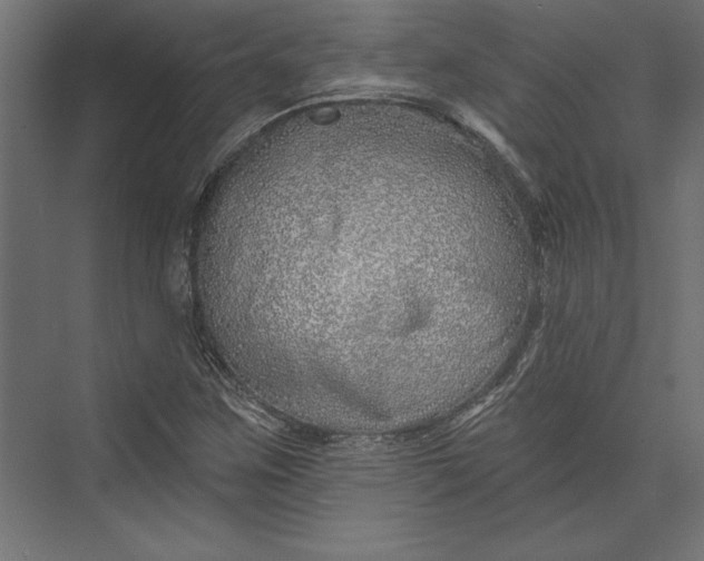 X0000073421259200608181112