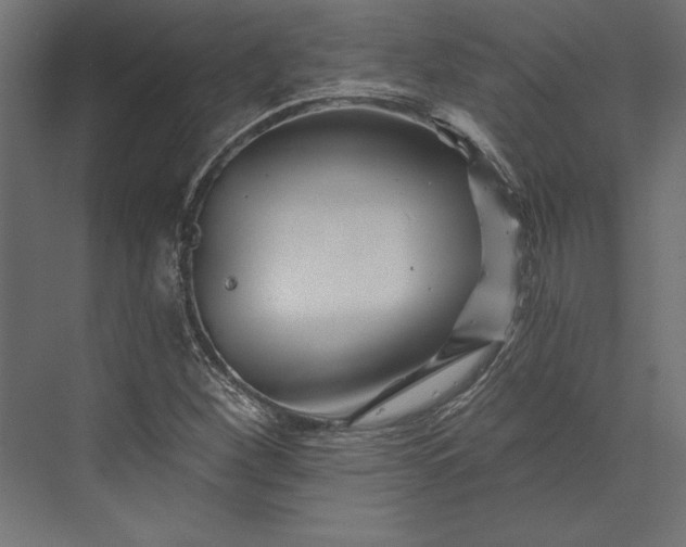 X0000073421260200608181112