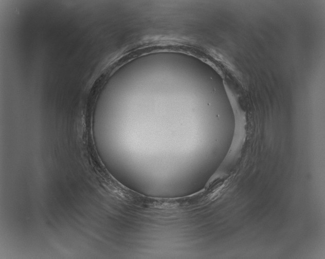 X0000073421261200608181112