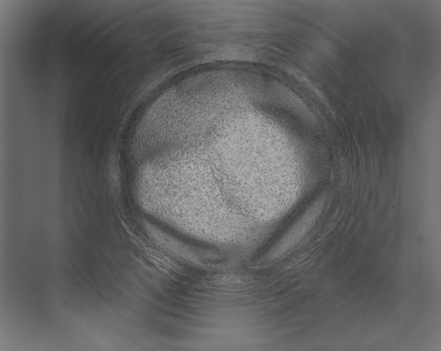 X0000073421266200608181112