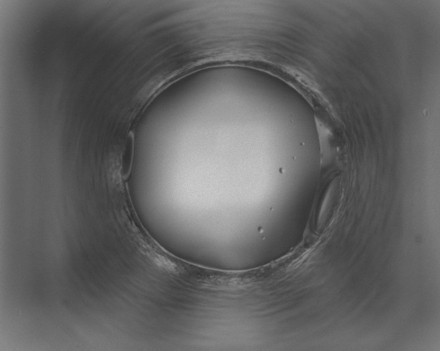 X0000073421273200608181112