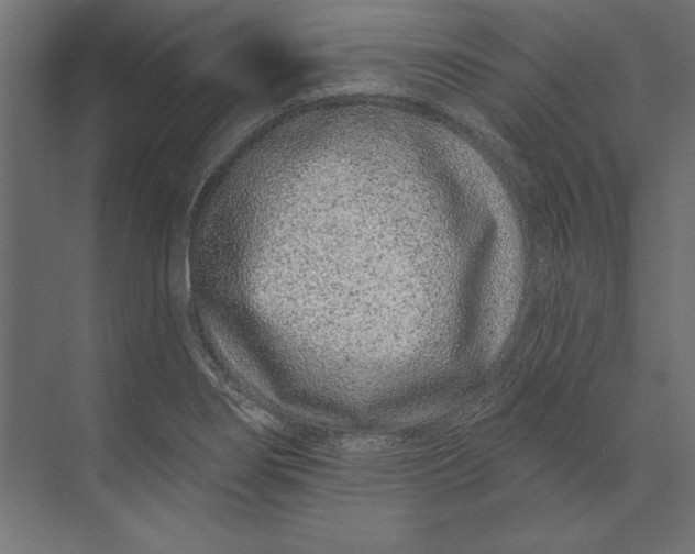 X0000073421274200608181112