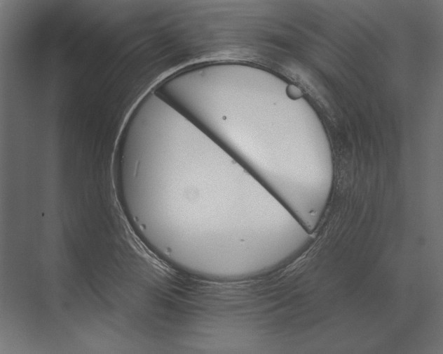 X0000073421276200608181112