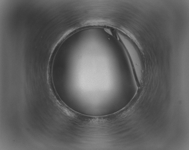 X0000073421277200608181111