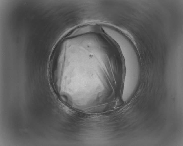 X0000073421279200608181111