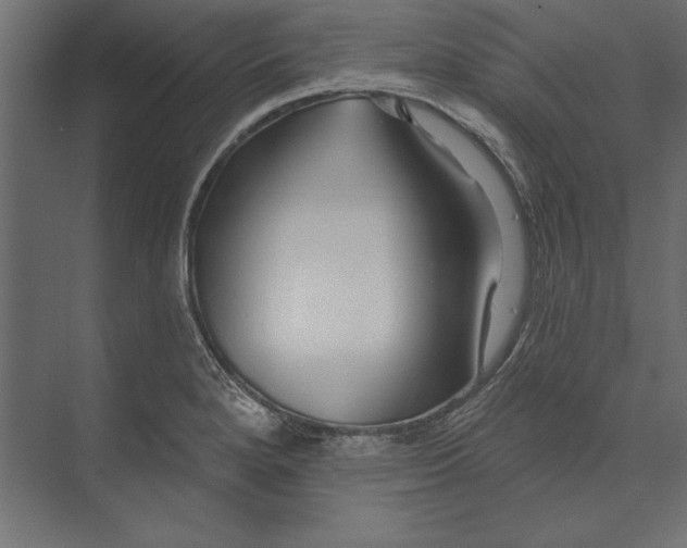 X0000073421280200608181111