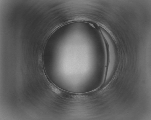 X0000073421281200608181111