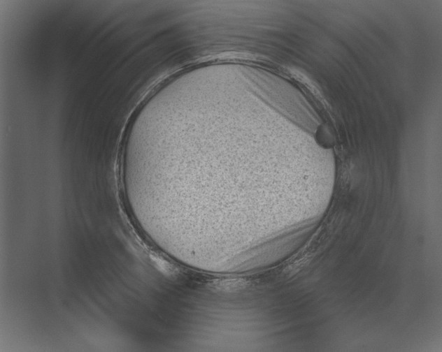 X0000073421282200608181111