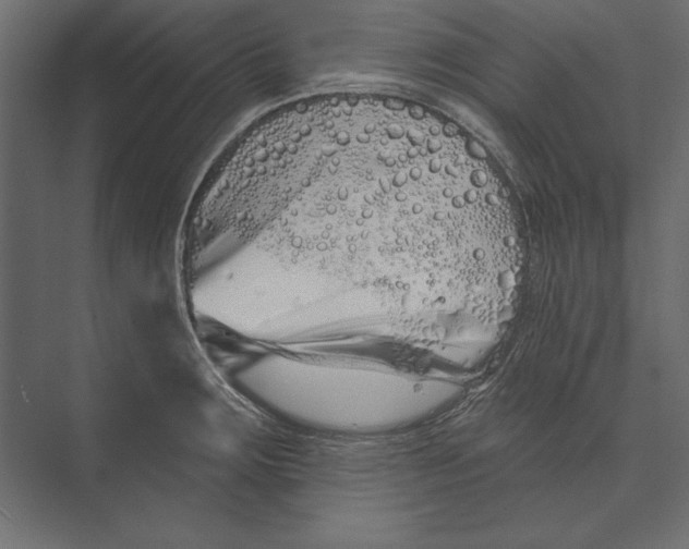 X0000073421283200608181111