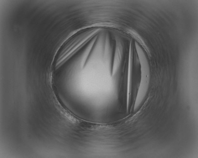 X0000073421284200608181111