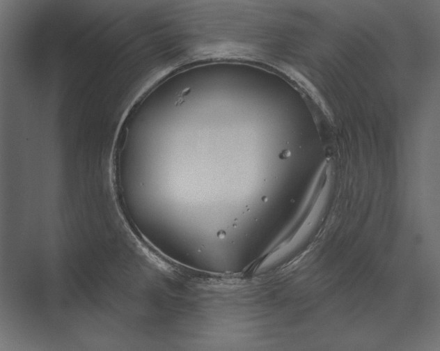 X0000073421285200608181111