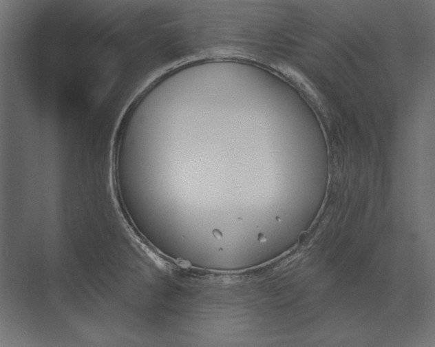 X0000073421286200608181111