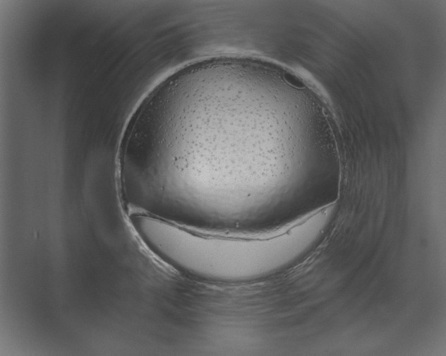 X0000073421287200608181111