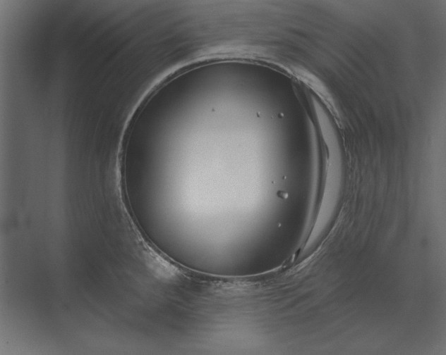 X0000073421288200608181111