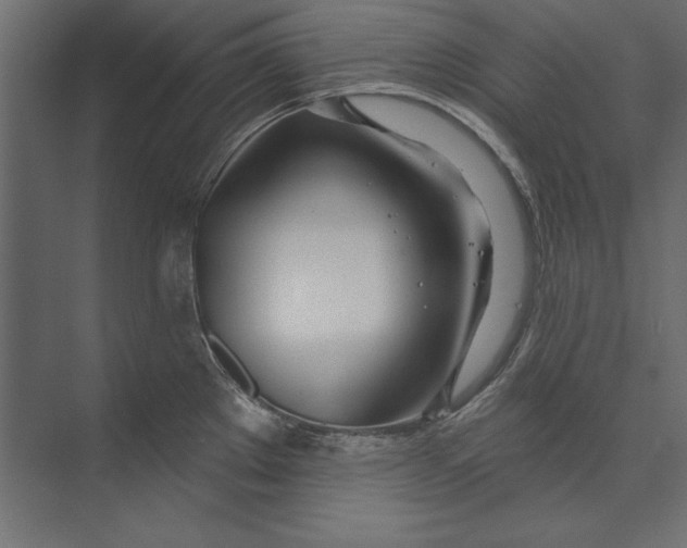 X0000073421289200608181111