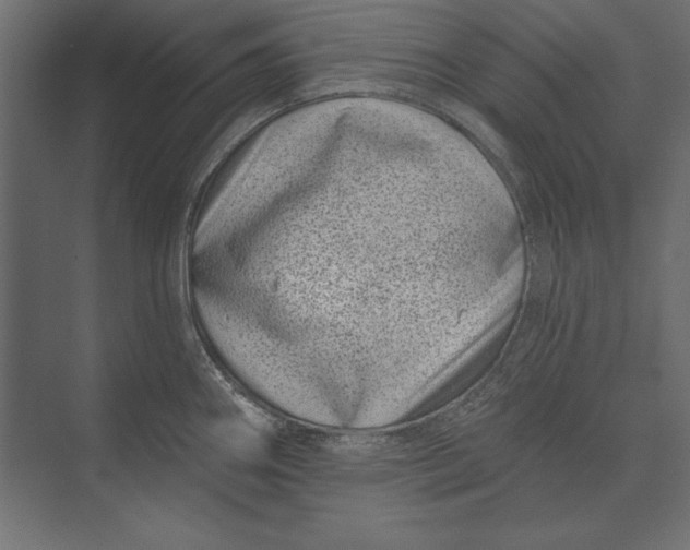 X0000073421290200608181111