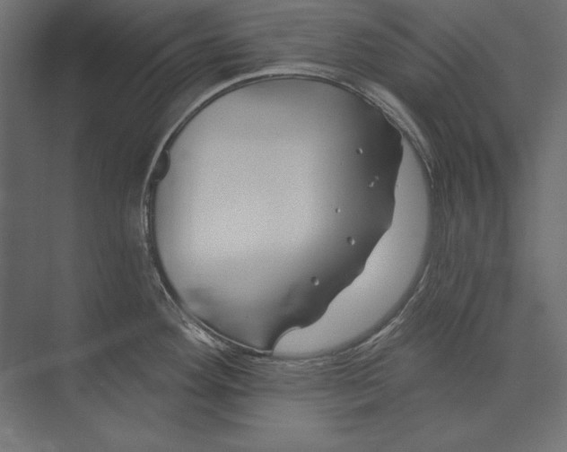 X0000073421292200608181111