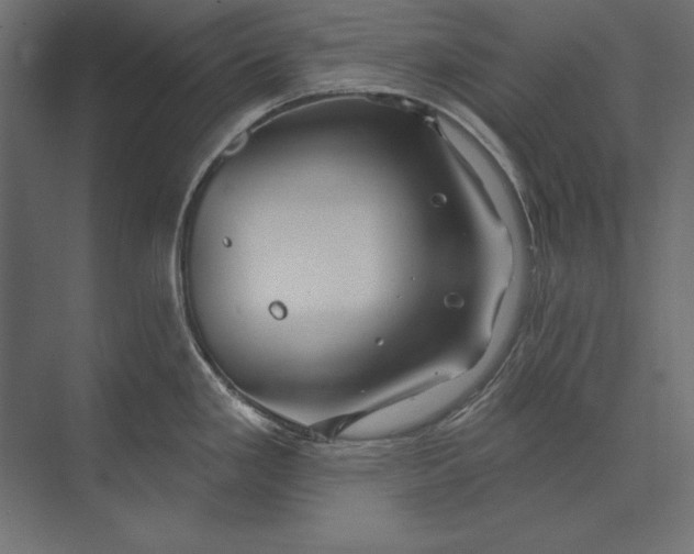 X0000073421293200608181111