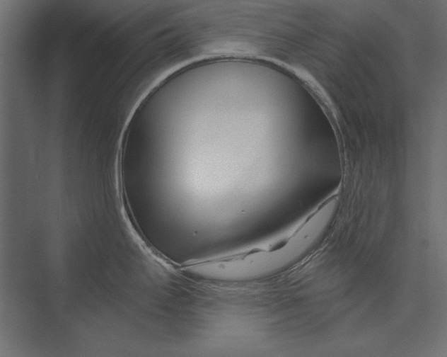 X0000073421295200608181111