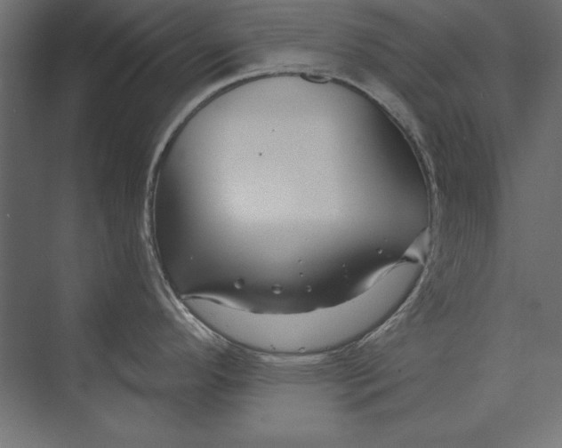 X0000073421296200608181111