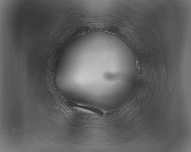 X0000073421297200608181110