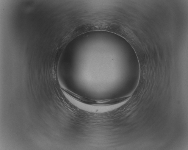 X0000073421298200608181110