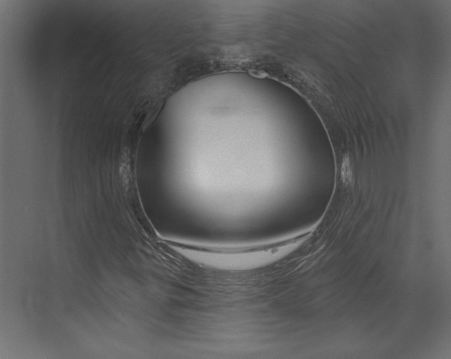 X0000073421299200608181110