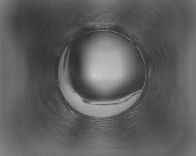 X0000073421300200608181110