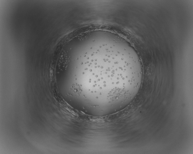 X0000073421302200608181110